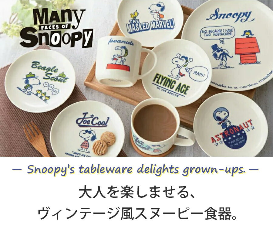 美濃焼｜スヌーピー(SNOOPY) ファイブボウルセット 17cmボウル5枚 