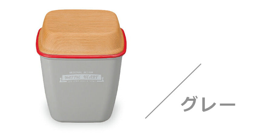 [Free shipping] Lunch box for women, 2 tiers [NH Tall Emmalie Lunch] Stylish and cute lunch box, microwave safe and dishwasher safe, made in Japan [Masakazu] [Silent]